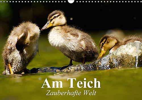 Am Teich. Zauberhafte Welt (Wandkalender 2017 DIN A3 quer): Bezaubernde Pflanzen und Tiere am Wasser (Monatskalender, 14 Seiten ) (CALVENDO Natur)