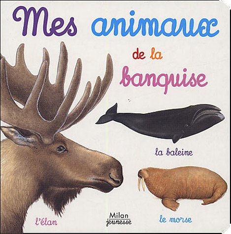 couverture de : Mes animaux de la banquise