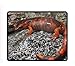 Produktbild Newt Salamanders Mousepad Rectangle Non-Slip Rubber Custom Gaming Mouse Pad