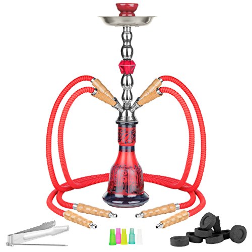 Mianova Shisha Hookah Set aus Glas: Wasserpfeife, 4 Schäuchen, Kohle, 5 Mundstücke und Zange - Rot