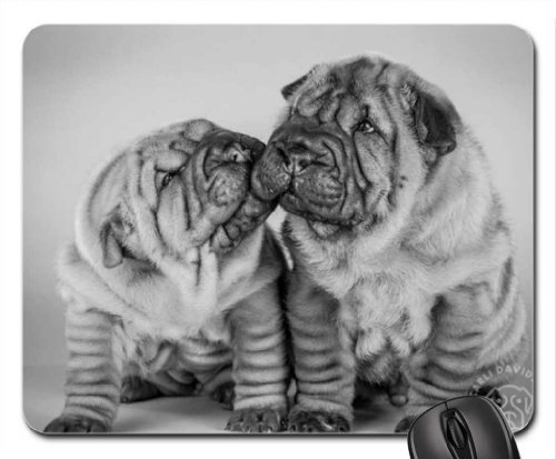 Preisvergleich Produktbild shar pei Puppies Mouse Pad, Mousepad (Dogs Mouse Pad)