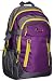 F Gear Profound 30 Liters Laptop Backpack (Purple, Yellow) RS.998.00