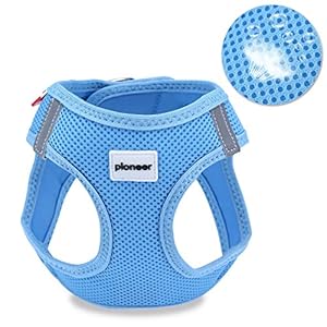 Petcomer Arnés Perro Red Suave Chaleco Acolchado Cómodo para Viajar Pasear con Mascota Pequeña Gatito y Cachorro (XS-Pecho:28-33CM, Azul)