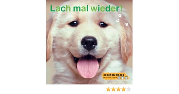 Hundkatzemaus 3 Lach Mal Wieder Amazonde Diana Eichhorn