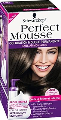 Schwarzkopf Perfect Mousse - Coloration Permanente - Expresso Givré 400