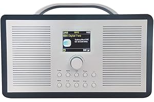 ALANO FM/DAB+ Radio/Bluetooth/AUX IN radio dab portatile a colori in legno con display a colori 2.4 TFT e doppia modalità sveglia, radio dab con design retrò per giardino e cucina (Nero)