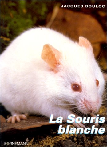 Download La Souris blanche Download La Souris blanche