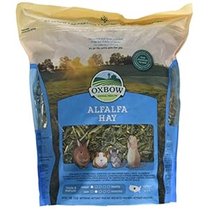 Oxbow Alfalfa Hay, 425 g