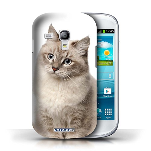 Preisvergleich Produktbild Stuff4 Hülle / Hülle für Samsung Galaxy S3 Mini / Sibirier Muster / Katze Kollektion