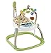 Price comparison product image Fisher-Price Rainforest Spacesaver Jumperoo
