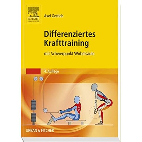 Pdf Differenziertes Krafttraining Mit Schwerpunkt Wirbelsaule Kostenlos Download Lies Das Buch Hier 31
