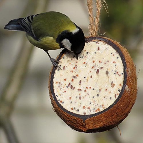 Gefüllte Kokosnuss – Original (6 x 250g) - 2