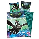 Lieferumfang: 1 Herding Bettwäsche-Set, DreamWorks Dragons, 1 Kopfkissenbezug 80 x 80 cm + 1 Bettdeckenbezug 135 x 200 cm, Farbe: Mehrfarbig