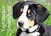 Entlebucher Sennenhund (Wandkalender 2018 DIN A3 quer): Die Entlebucher Sennenhunde Emma und Luna (Monatskalender, 14 Seiten ) (CALVENDO Tiere) [Kalender] [Sep 13, 2015] SchnelleWelten, k.A. by 