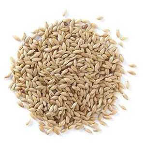 KOO Retails Canary Seeds 400 Grams Best Bird Food