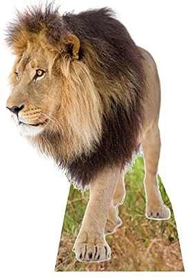 Star cutouts - Stsc54 - Figurine Géante Lion 130 Cm En