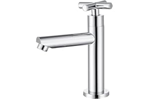 Tondiy Rubinetto Bagno Lavabo Acqua Fredda, Rubinetti Solo Acqua Fredda con Tubo di Collegamento, Rubinetto Monocomando per Toilette per Gli Ospiti, Acciaio Inox 304, Aeratore Rimovibile, Cromato
