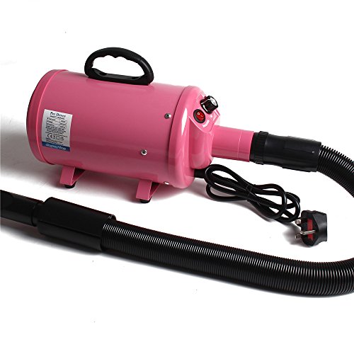 Display4top-Schoir-Sche-Poils-Toilettage-pour-Chiens-Chats-Animaux-2800W-Chaleur-et-Vitesse-RglableFiche-Standard-franaise