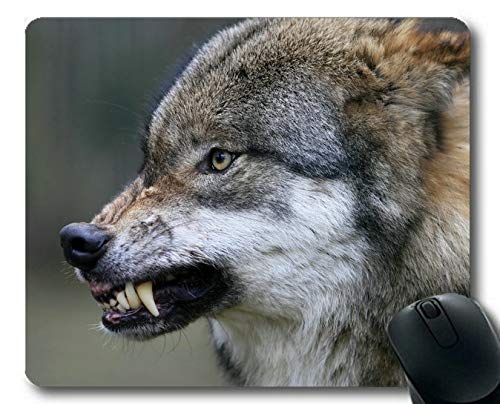 Preisvergleich Produktbild Yanteng Mousemat, Snarl Wildlife Wolf 200 Gaming-Mauspads (Mehrfarbig)