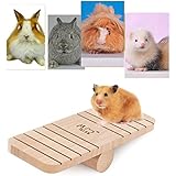 Kleine Tier Kiefer Wippe Kleine Tier Spielplatz für Hamster / Chinchillas / Meerschweinchen Lustige Spielzeug Spielzeug Spielzeug