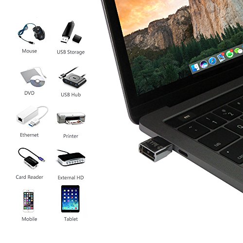 USB C Adapter [2 Pack], 4U USB C zum Micro USB Buchse Adapter mit Schlüsselanhänger + USB 3.1 Typ C auf USB 3.0 Typ A Female OTG Adapter Konverter Mit Aluminium Gehäuse für MacBook Pro 2016, Google Chromebook Pixel, Galaxy S8/S8+, Mi 4C, Nokia N1, Google Nexus5x Nexus6P, Microsoft Lumia950 Lumia950XL usw. -Silber - 5