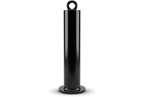 Hantelskivor laddningspenna, fitness viktplatta laddningspenna, laststift | Ø 48 x 320 mm, viktstack pin för kabelträning, 200 kg lastkapacitet, gymstift kabel fitness tillbehör för lattåg hemträning