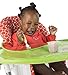 Tidy Tot Weaning Tray and Bib