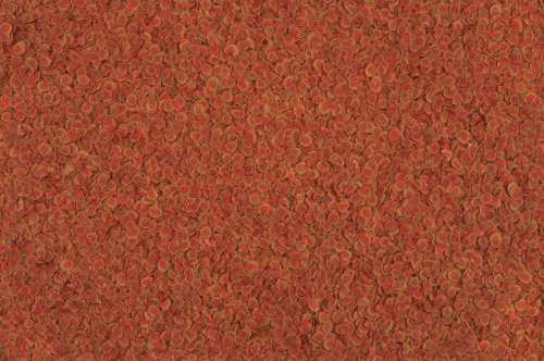 Tetra Pro Colour Premiumfutter (für alle tropischen Zierfische, Farbkonzentrat für hervorragende natürliche Farbausprägung, hoher Gehalt an Carotinoiden für farbverstärkende Wirkung), 100 ml Dose - 5