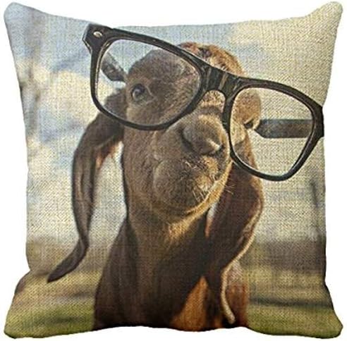 Richess Galaxy Nexus Chic Throw Pillows18 X 18 Throw Pillow Goat Decorative Throw Pillows