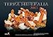 Terra Mineralia 2013 by 