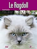 Ragdoll (le)