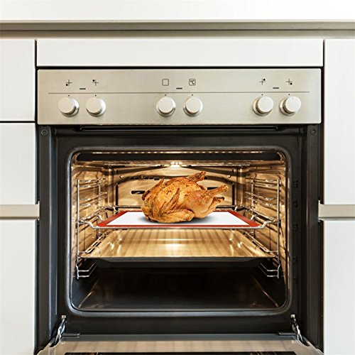 Ecarton Silikon Backmatte Dauerbackfolie Backunterlage Antihaftbeschichtet, BPA frei, 1 Stück, 20 x 20 cm - 5