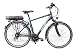 Produktbild Fischer 28" Zoll Elektro Fahrrad E-Bike Pedelec Trekking Shimano 24 Gang 36V 14Ah