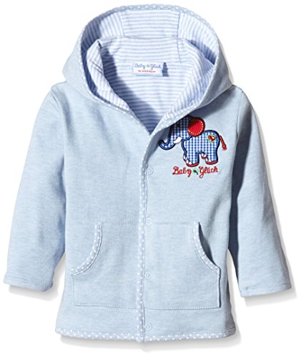 SALT AND PEPPER Baby Boys Hooded Long Sleeve Sweatshirt, Blue (light blue 413), 6-9 Months