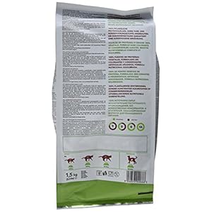 comida-gatos-veganos-ami