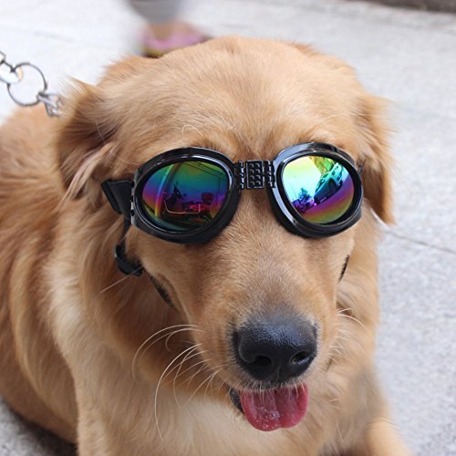 Fully-2x-Foldable-Pet-Dog-Sunglasses-Goggles-UV-Protection-Eyeshield-Windproof-fits-for-above-6kg