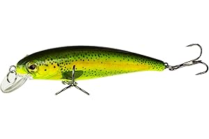 FISHN TINYone wobbler, Poids: 6g, Longueur: 7cm, leurre Artificiel/leurre de pêche/wobbler pour la pêche des Poissons prédateurs comme Le brochet, la Truite