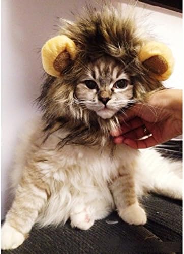 CHINA UK 1 pc Fashion Plush Cat's/Dog's Hat Hair Toy Like Lion Stuffed Funny Pet Toy Small Cat's Head Cap Cat's Head Cap