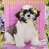 Just Shih Tzu Puppies 2019 Wall Calendar (Dog Breed Calendar) by 