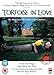 Tortoise in Love Â [Non USA PAL Format] by TOM MITCHELSON