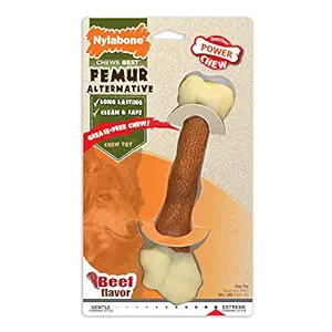 Nylabone Power Chew DuraChew Femur Bone Rawhide Alternative Dog Chew Toy