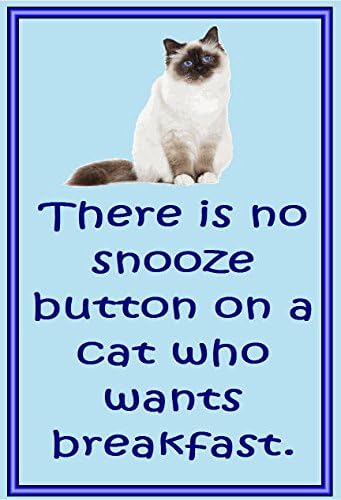 Birman cat - Novelty Cat Fridge Magnets - Snooze - gifts for cat owners
