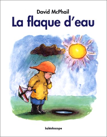 la flaque d'eau