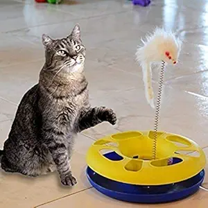 Happy Kitten Cat Circle with Ball and Catch The Mouse Motion to Exercises and Satisfy Pet?s Natural Instinct with Fun Toy - Color May Vary