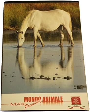 PIGNA Lined Notebook 3 A Maxi Elementary Premium High Quality Animal World cavallo