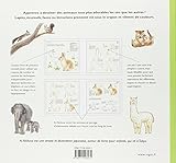 Image de Dessiner des animaux supermignons en couleur