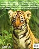 Image de Animales en su hábitat (Castellano - A Partir De 8 Años - Álbumes - Otros Álbumes)