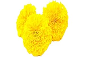 Fresh Flower Marigold Yellow, 250 g