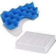 Bogoro VACUUM_FILTER Kit for Samsung SC4300 SC4470, H11 HEPA Filter + Blue HEPA Filters, 2 Pieces
