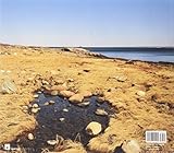 Image de Legacy: The Preservation of Wilderness In New York City Parks